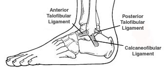 Foot and ankle injuries – DrNasef