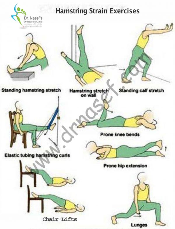 Hamstring Strain Exercise - DrNasef