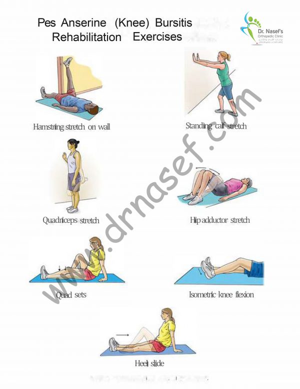 Knee Pain Rehabilitation - Drnasef