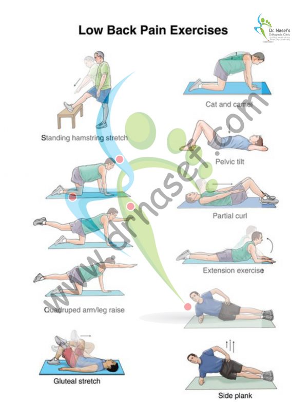 Low Back Pain Excercises - DrNasef