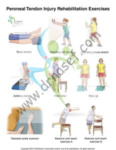 Peroneal Tendon Exercises - DrNasef